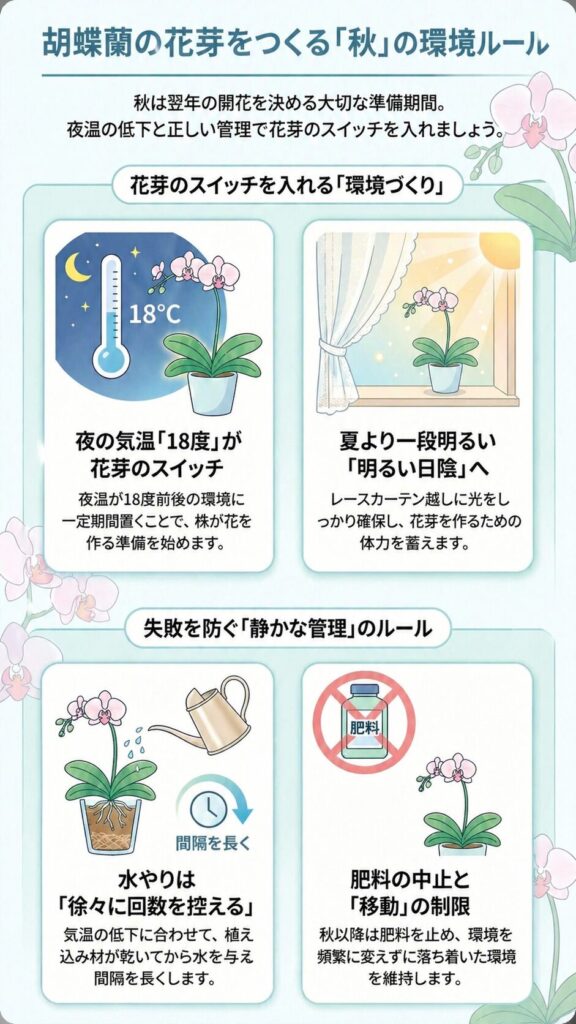 胡蝶蘭の花芽を作る秋の管理ガイド|夜温18℃の温度差と明るい日陰で花芽スイッチを入れ、水やり間隔を徐々に延ばし肥料を止めて環境を固定する育て方を解説したインフォグラフィック