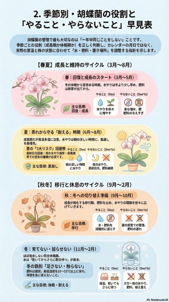 胡蝶蘭の季節別管理カレンダー｜春夏の成長期と秋冬の休眠期に分けた水やり・肥料・置き場所の「やること・やらないこと」早見表（初心者向け年間管理ガイド）