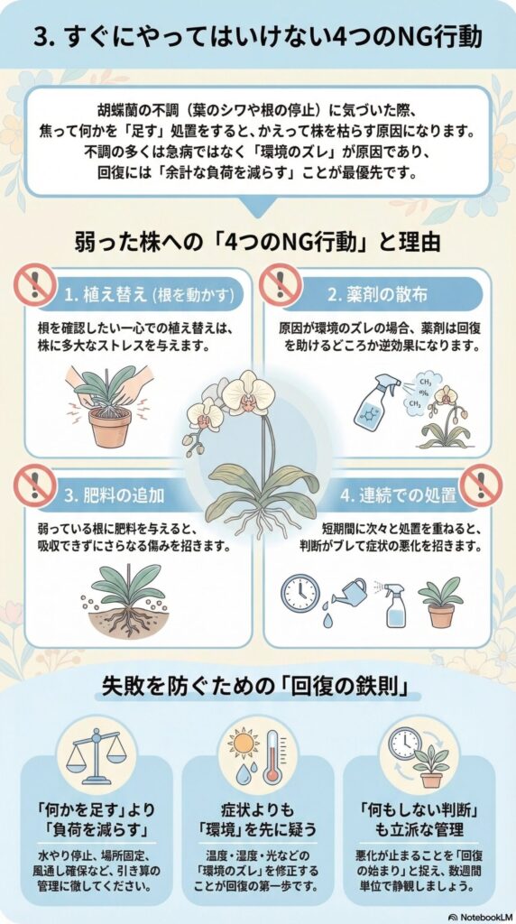 弱った胡蝶蘭で絶対NGな4つの行動｜植え替え・肥料・薬は逆効果？回復を遅らせる対処ミスを解説