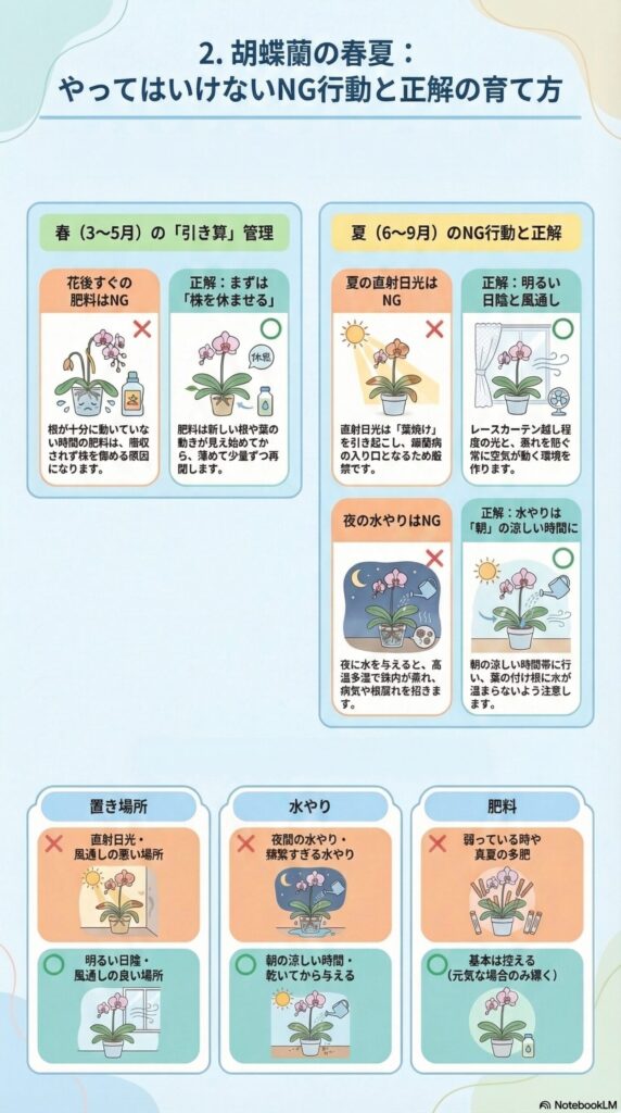 胡蝶蘭の春夏管理ガイド｜花後すぐの肥料や直射日光・夜の水やりなどのNG行動と、株を休ませる管理・明るい日陰と風通し・朝の水やりなど正しい育て方を解説したインフォグラフィック