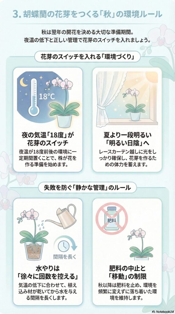 胡蝶蘭の花芽を作る秋の管理ガイド｜夜温18℃の温度差と明るい日陰で花芽スイッチを入れ、水やり間隔を徐々に延ばし肥料を止めて環境を固定する育て方を解説したインフォグラフィック