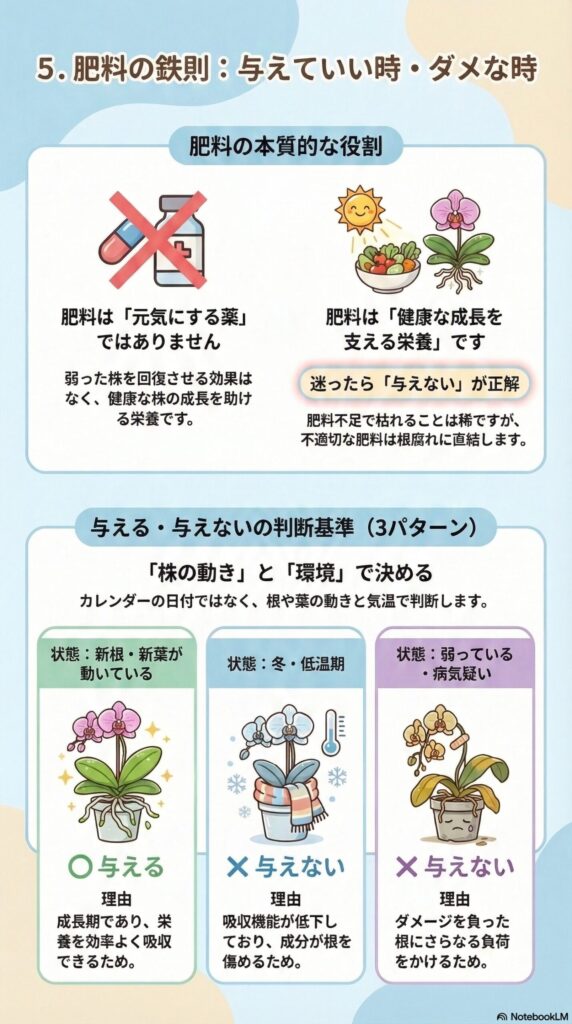 胡蝶蘭の肥料管理ガイド｜肥料の役割と与えてよい時・与えてはいけない時を株の状態と季節で判断し、成長期のみ薄く与える基本ルールを解説したインフォグラフィック