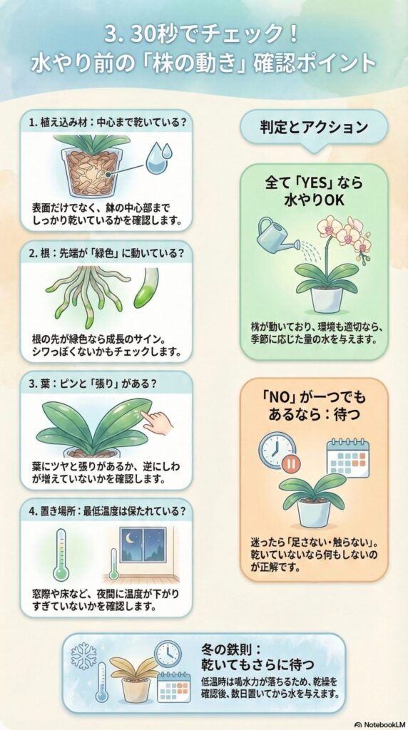 胡蝶蘭の水やり前チェックリスト｜30秒で判断する「株の動き」確認ポイント（乾き・根の先端・葉の張り・最低温度）で水やりするか待つかを判断する初心者向け管理ガイド