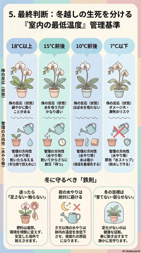 胡蝶蘭の冬越し温度ガイド｜18℃・15℃・10℃・7℃以下で変わる水やりと管理基準（室内最低温度で判断する冬管理の完全目安）