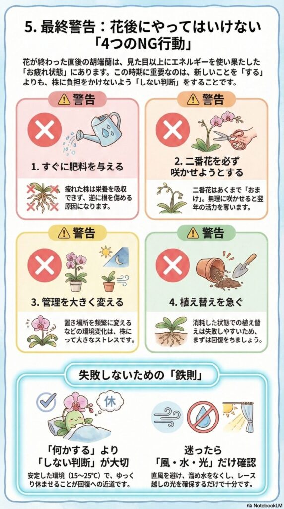 胡蝶蘭の花後にやってはいけない4つのNG行動｜肥料・二番花・環境変更・植え替えを急がない回復優先の管理ルールガイド
