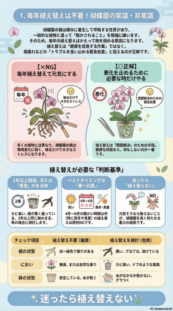 胡蝶蘭の植え替えは毎年不要？｜植え替えの常識・非常識と「必要な時だけ行う」判断基準（根の状態・におい・鉢の乾き）を解説した初心者向け管理ガイド