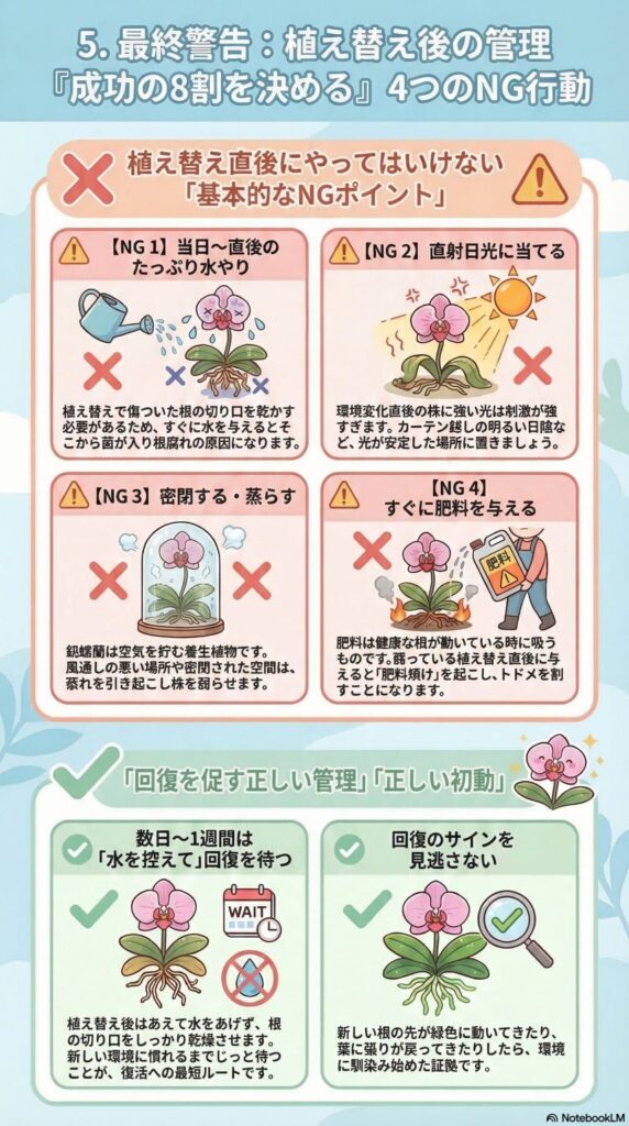 胡蝶蘭の植え替え後にやってはいけない4つのNG行動｜水やり・直射日光・蒸れ・肥料の失敗を防ぐ回復管理ガイド