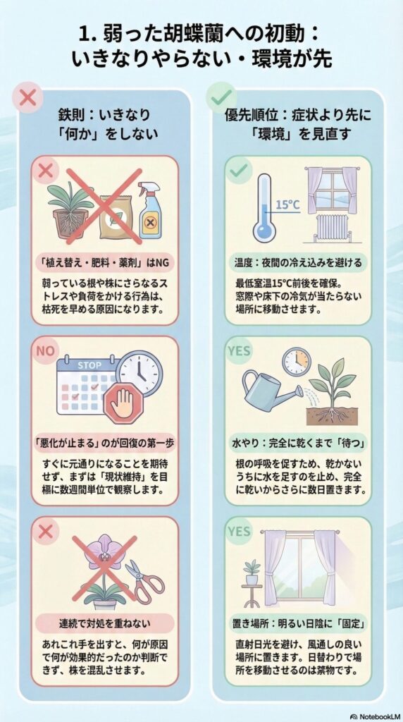 弱った胡蝶蘭の復活ガイド｜植え替え・肥料はNG？まず見直すべき環境と水やりの正しい初動対応