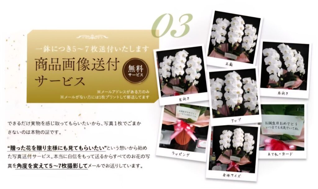 写真送付サービスの案内バナーと複数角度から撮影された白い胡蝶蘭の写真イメージ、無料サービス付きのギフト向け品質訴求ビジュアル