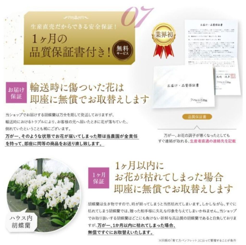 1ヶ月品質保証付き胡蝶蘭の保証サービス説明バナーと温室で育つ白い胡蝶蘭、配送トラブル時の無料交換を訴求する安心サポートイメージ