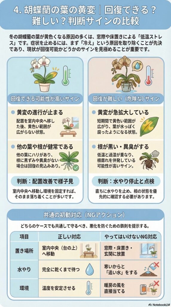 冬の胡蝶蘭の葉が黄色くなる原因と回復判断ガイド|低温ストレスによる黄変が回復可能か危険かを見分けるサイン(進行停止・根の状態・急拡大・根腐れ)と正しい初動対応を解説したインフォグラフィック