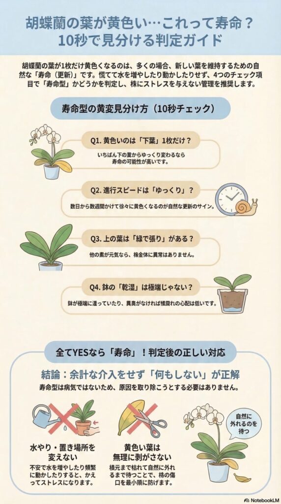 胡蝶蘭の葉が黄色くなる原因が寿命か異常かを10秒で見分ける判定ガイド(下葉1枚・進行速度・上葉の状態・鉢の乾湿をチェックするインフォグラフィック)