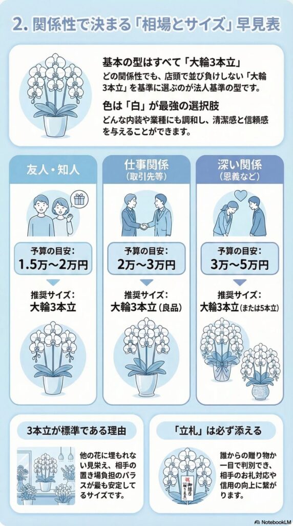 開業・開店祝いの胡蝶蘭ギフトの相場とサイズ早見表（友人・取引先・恩義など関係性別の予算目安と大輪3本立ちの推奨仕様）を解説したインフォグラフィック