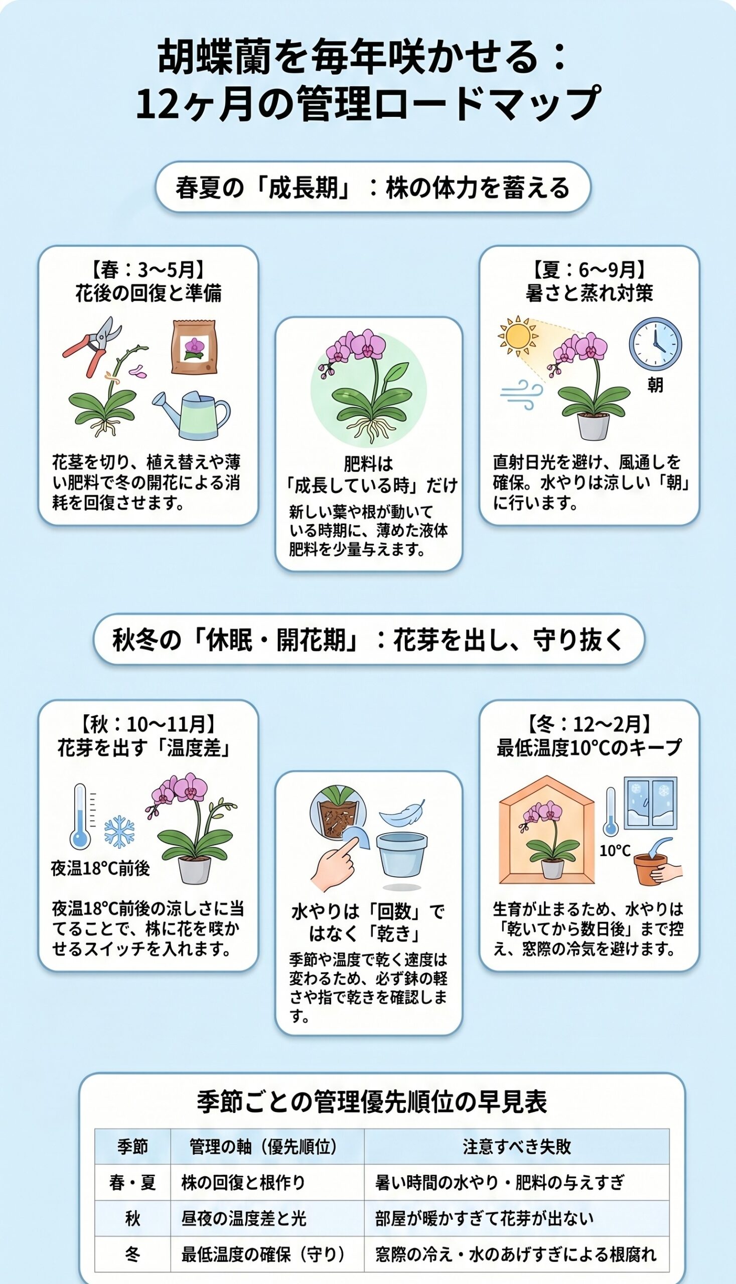迷ったらコレ！胡蝶蘭を毎年咲かせる「年間カレンダーと季節の軸」｜胡蝶蘭を毎年咲かせる年間管理のインフォグラフィック