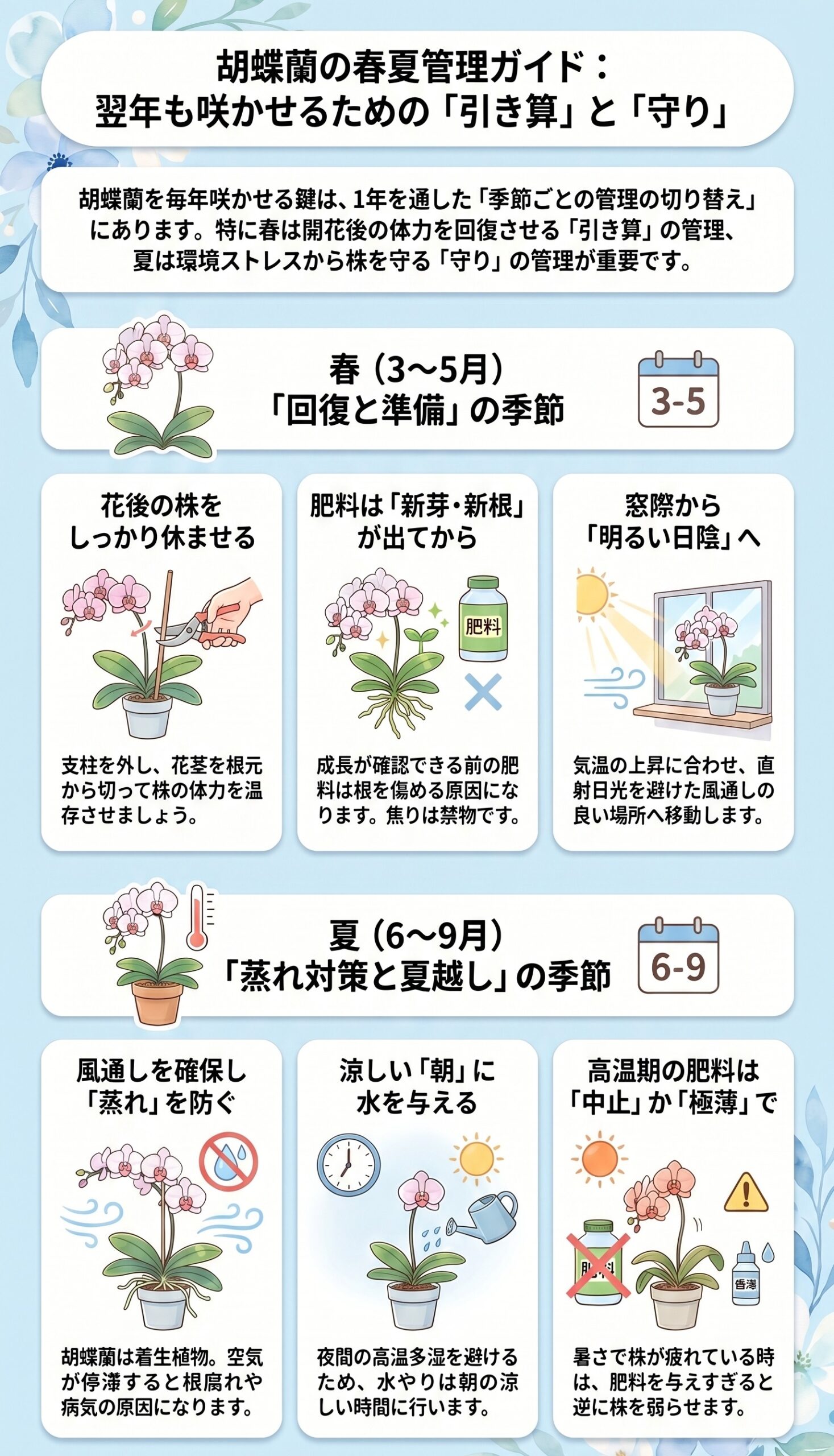 春の鉄則！「回復と準備」の時期にやること・やらないこと｜胡蝶蘭を毎年咲かせる年間管理のインフォグラフィック
