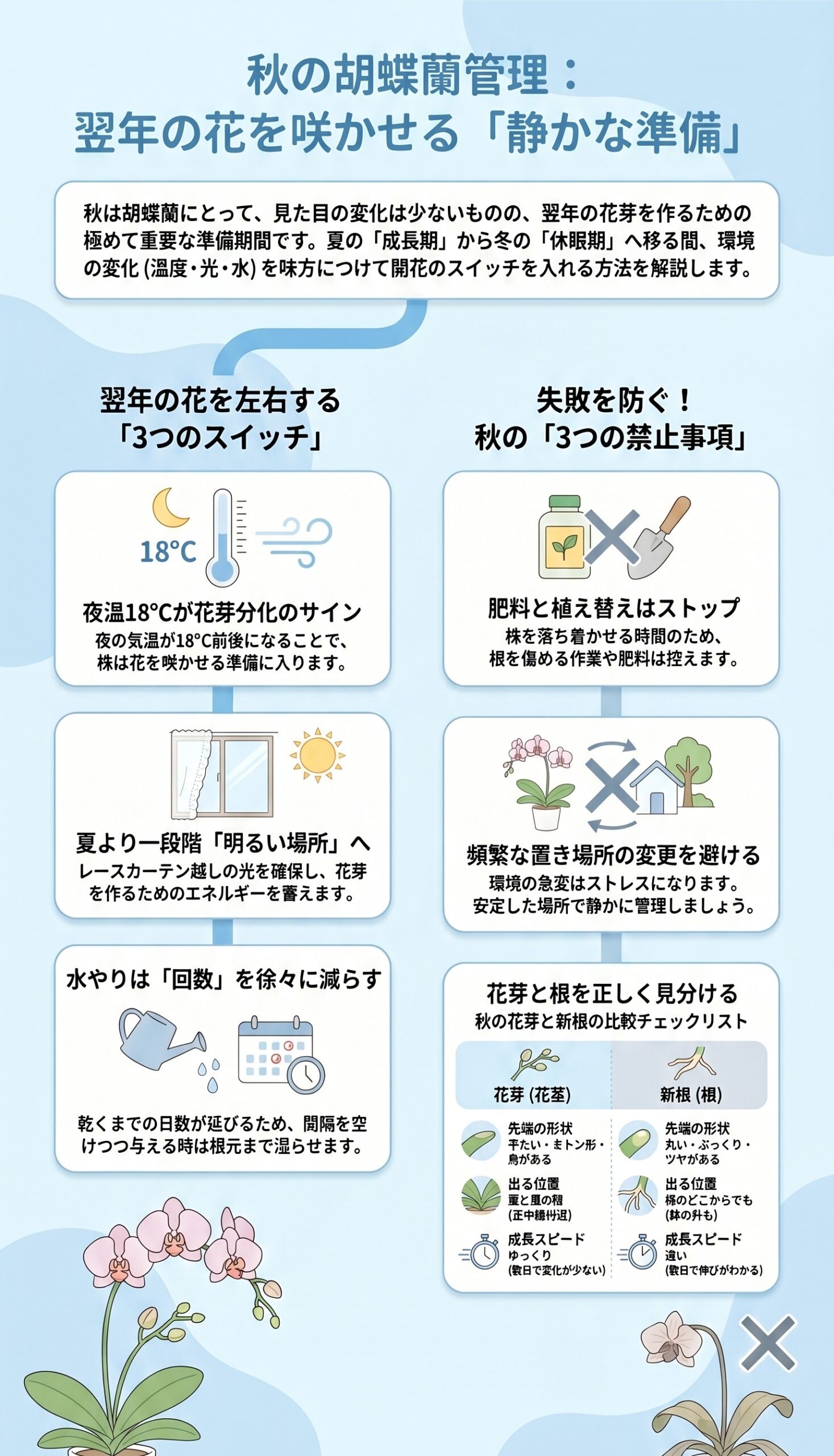 花芽を決める！秋の「静かな準備」と夜温の重要性｜胡蝶蘭を毎年咲かせる年間管理のインフォグラフィック