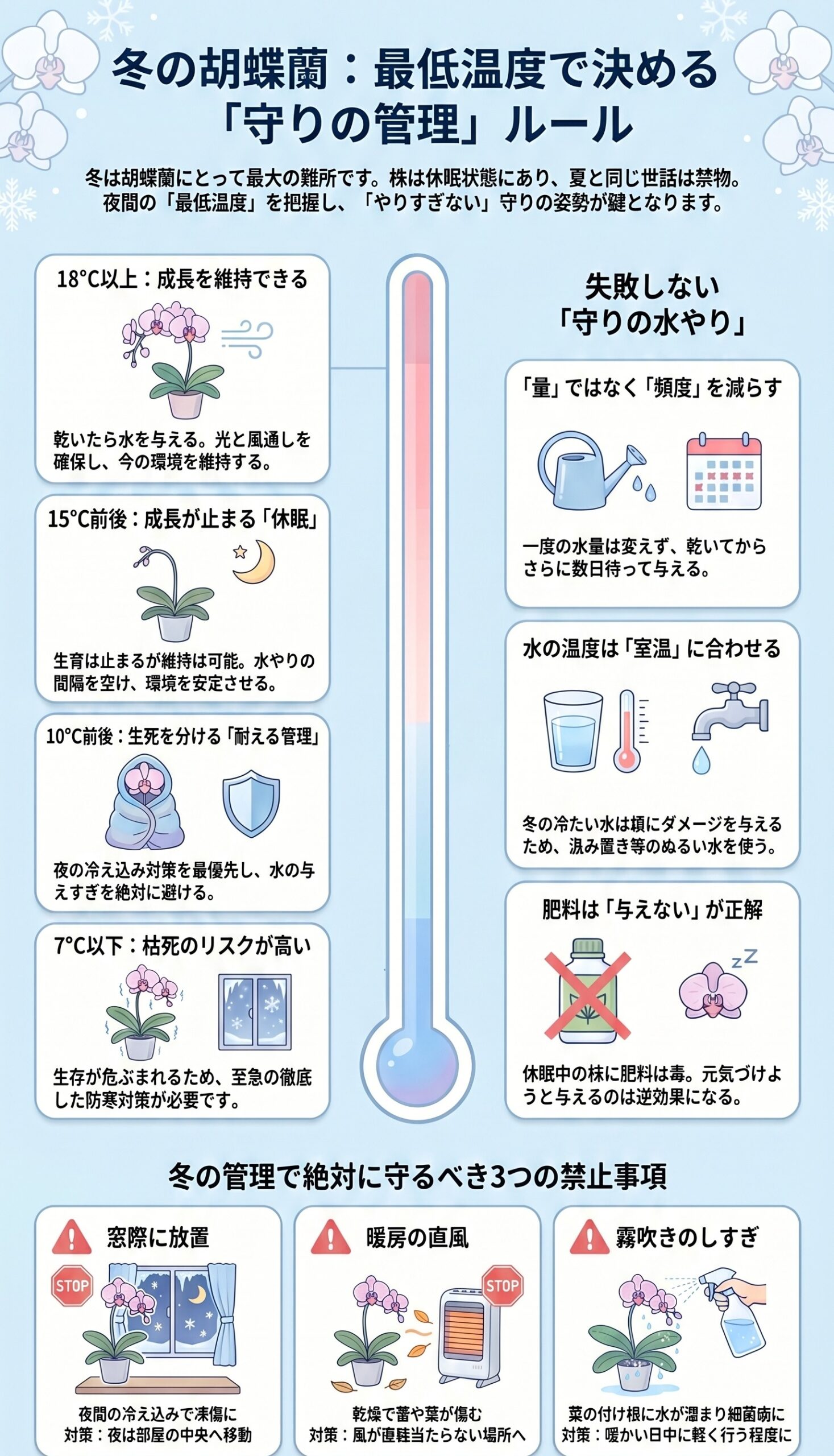 最大の難所！冬の「最低温度別」管理ルール｜胡蝶蘭を毎年咲かせる年間管理のインフォグラフィック