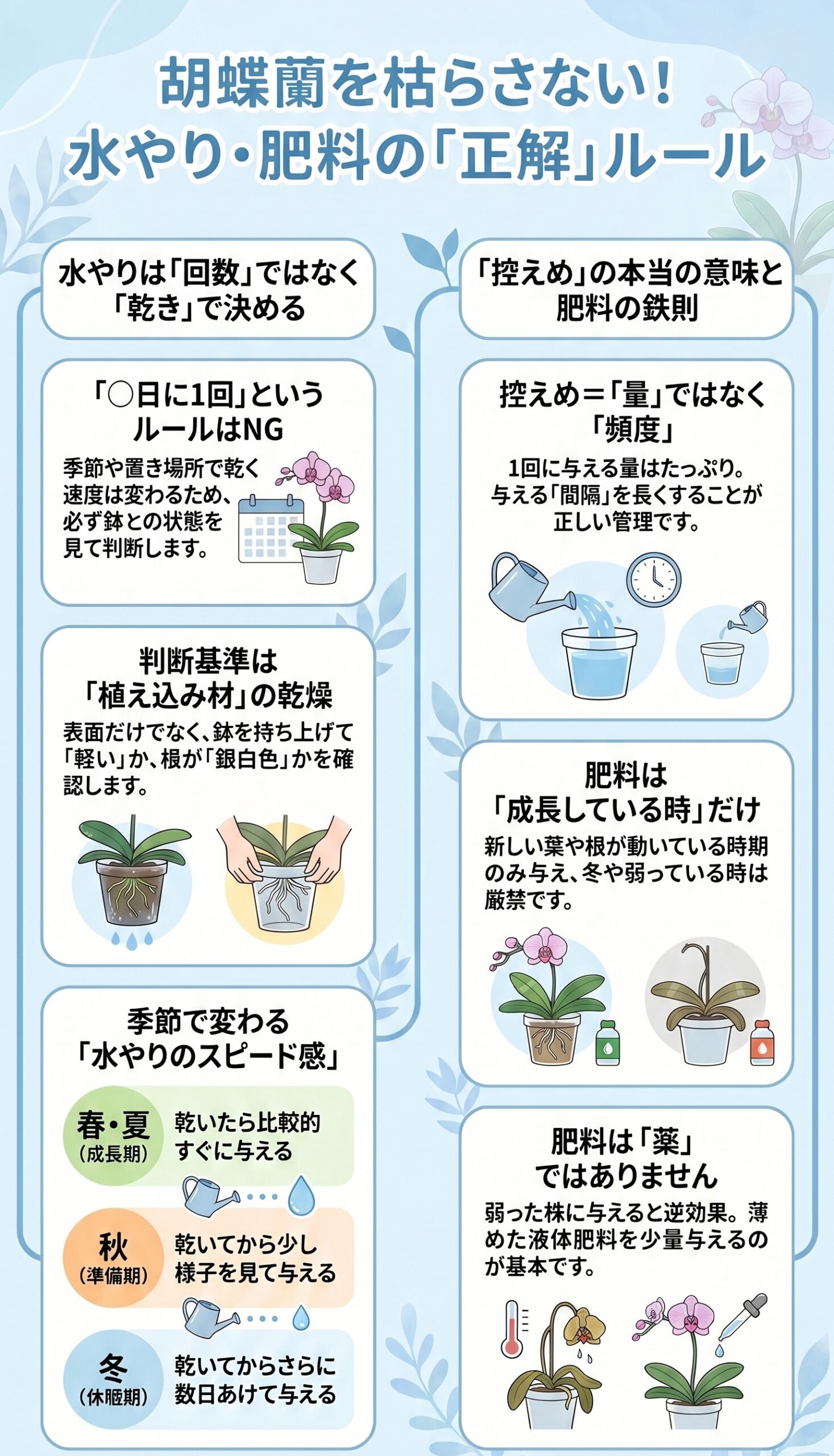 水やり・肥料の基本！「控えめ」の本当の意味｜胡蝶蘭を毎年咲かせる年間管理のインフォグラフィック