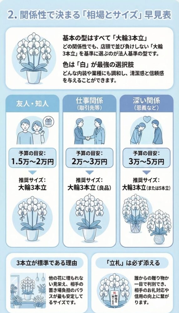 開業・開店祝いの胡蝶蘭ギフトの相場とサイズ早見表(友人・取引先・恩義など関係性別の予算目安と大輪3本立ちの推奨仕様)を解説したインフォグラフィック