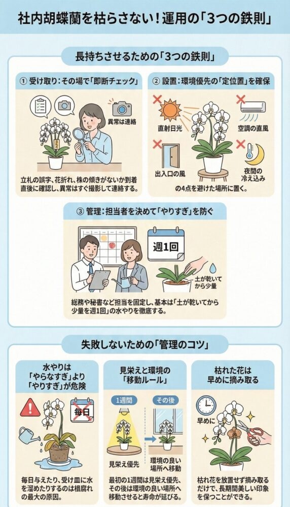 社内胡蝶蘭を長持ちさせる管理方法ガイド、枯らさないための3つの鉄則(設置場所・水やり・管理ルール)