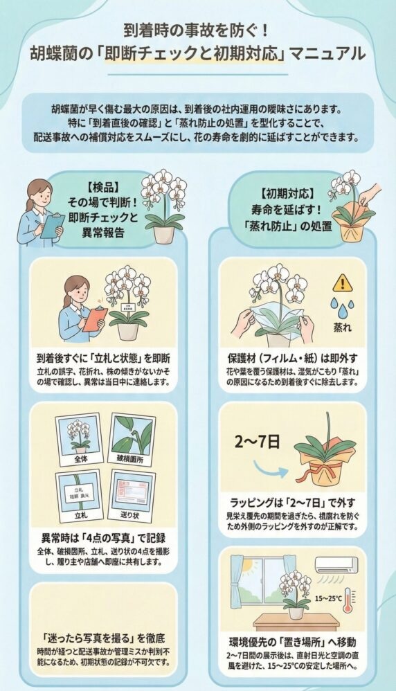 胡蝶蘭の到着後チェックと初期対応マニュアル、受け取り時の確認ポイントと蒸れ防止・設置方法ガイド