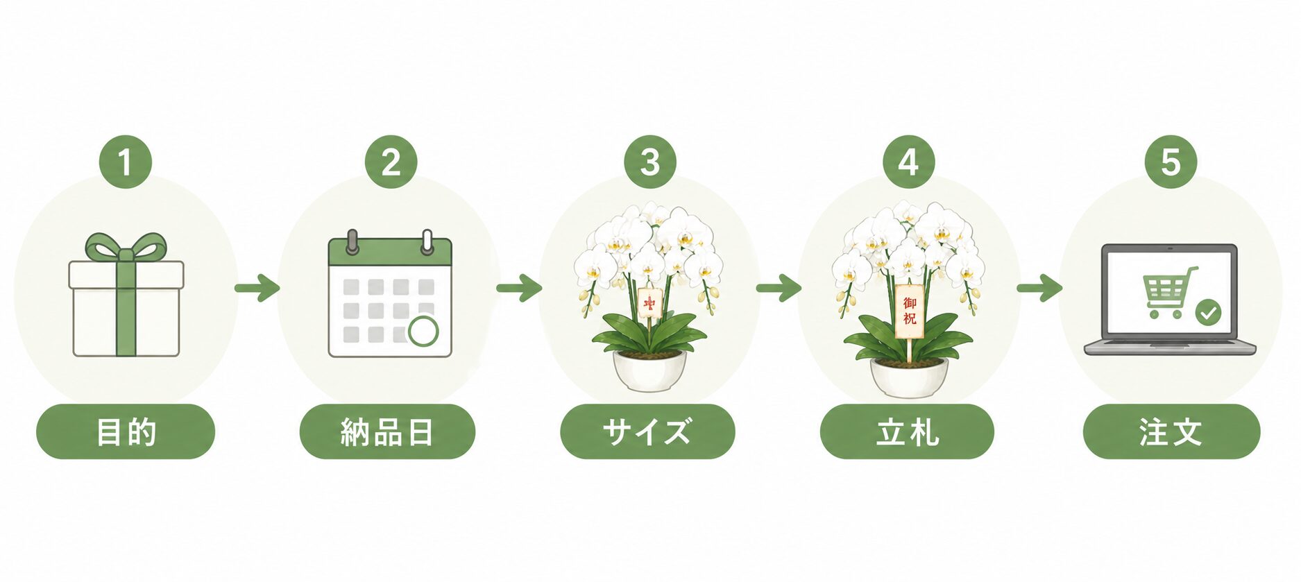 法人胡蝶蘭を発注する前の確認順序を示した図解