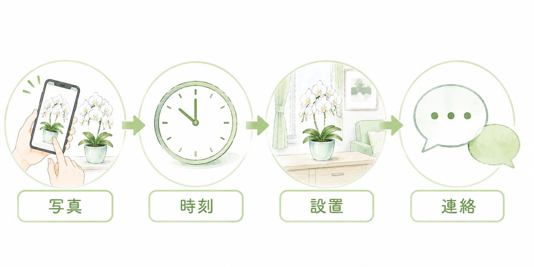 法人胡蝶蘭の到着後に写真・時刻・設置・連絡を確認する流れの図解