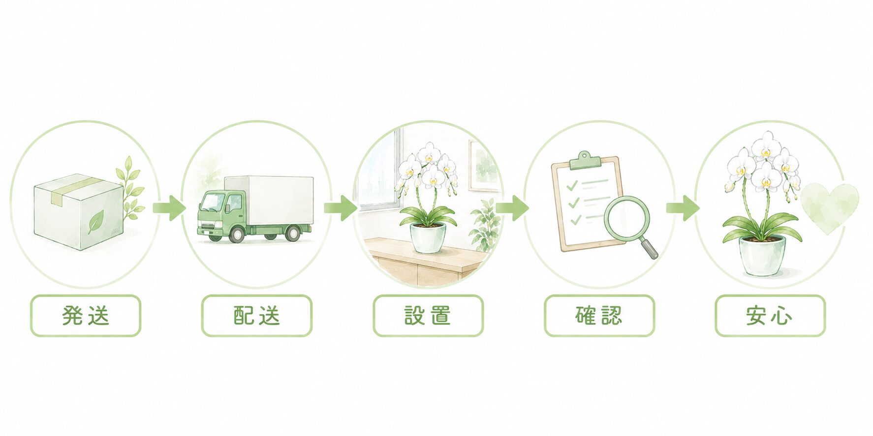 法人胡蝶蘭の発送・配送・設置・確認・安心までの季節対策フロー図解