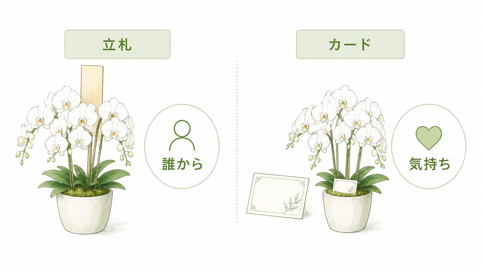法人胡蝶蘭の立札とメッセージカードの役割の違いを示す図解