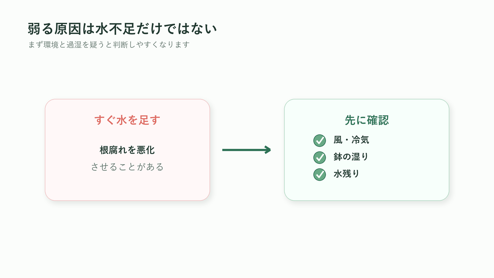 胡蝶蘭が受取後に弱る原因として環境と過湿を先に確認する図解