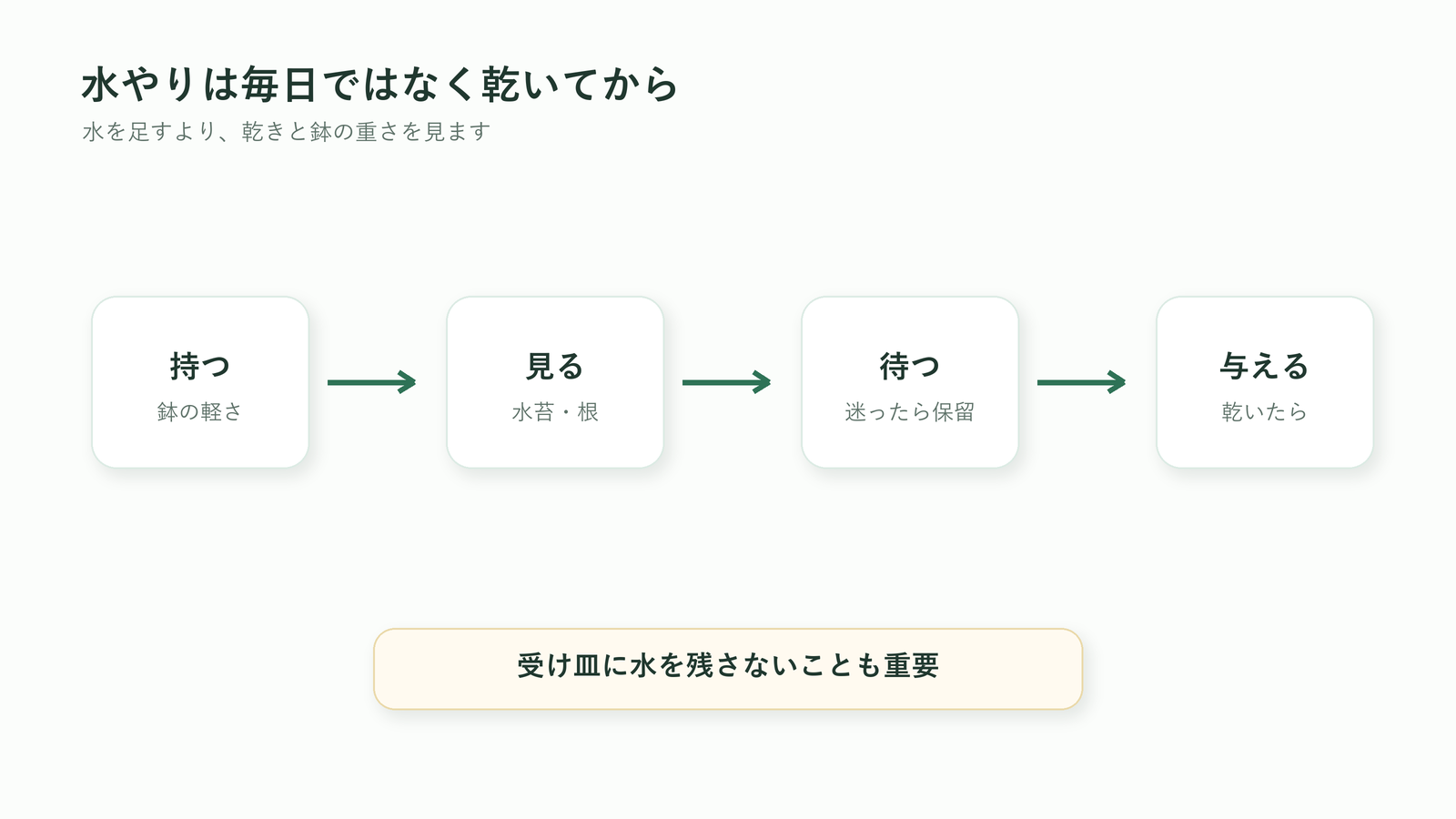 胡蝶蘭の水やりを毎日ではなく乾いてから行う判断手順の図解