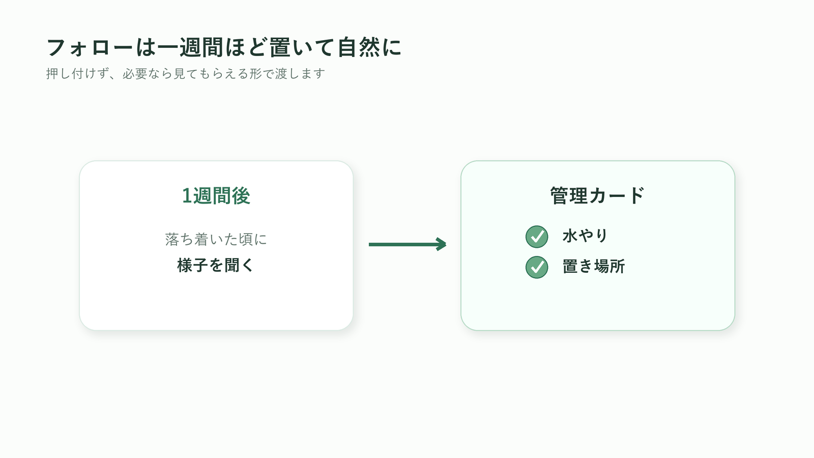 胡蝶蘭を贈った後に一週間ほど置いて自然に管理フォローする流れの図解