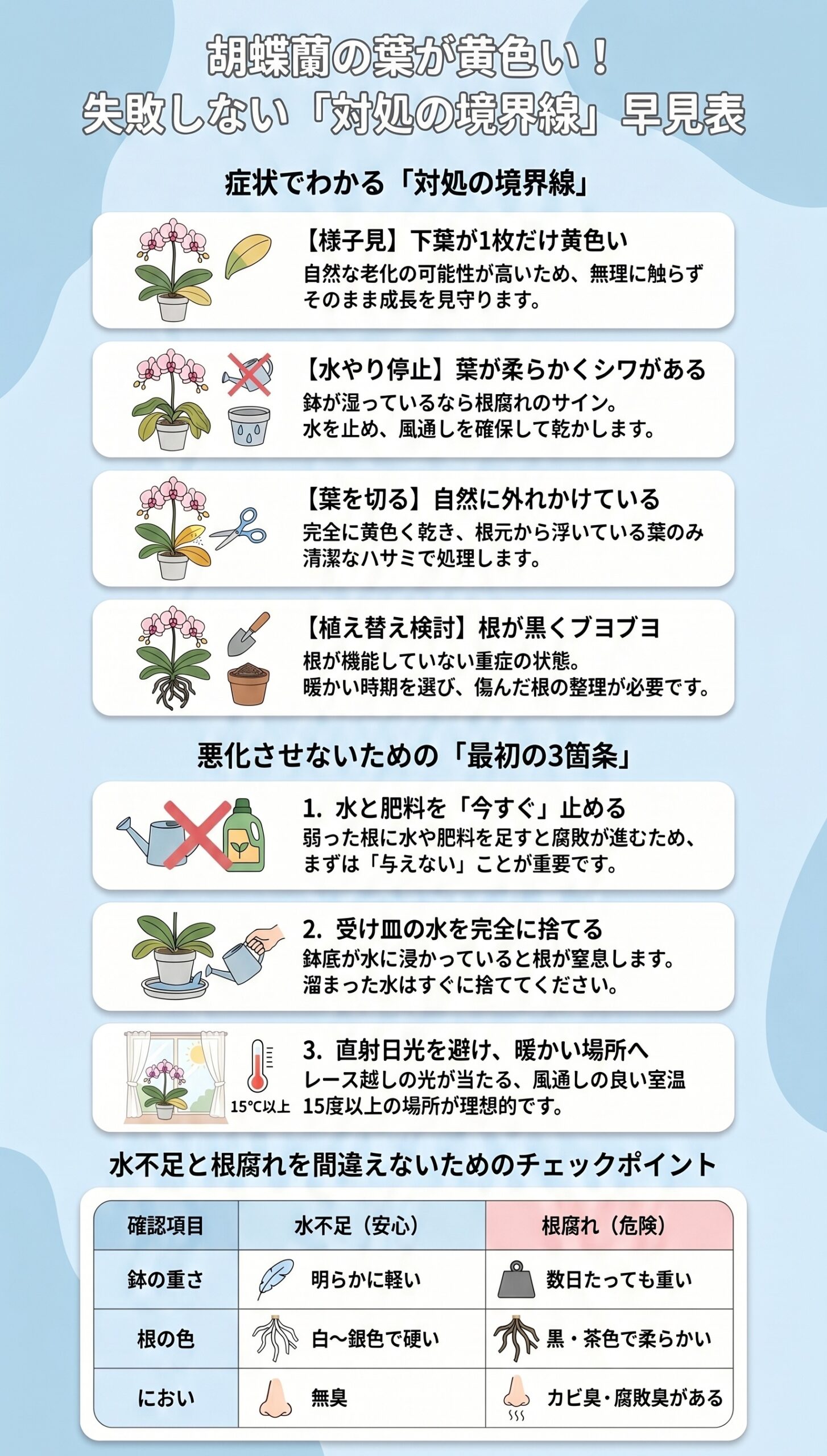迷ったらコレ!鉢が湿っているのに葉が黄色いなら「根腐れ」を疑え|胡蝶蘭の葉が黄色い時に根腐れを見分ける手順と初動対応を整理したインフォグラフィック