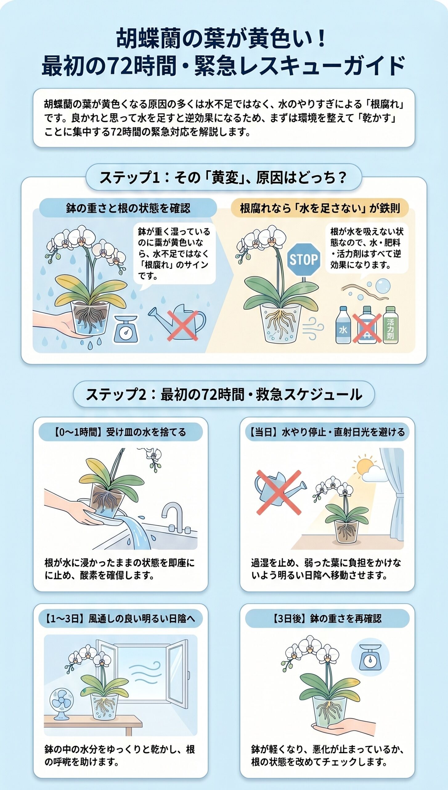 最初の72時間が勝負!根腐れが疑われる時に「今すぐやること」|胡蝶蘭の葉が黄色い時に根腐れを見分ける手順と初動対応を整理したインフォグラフィック