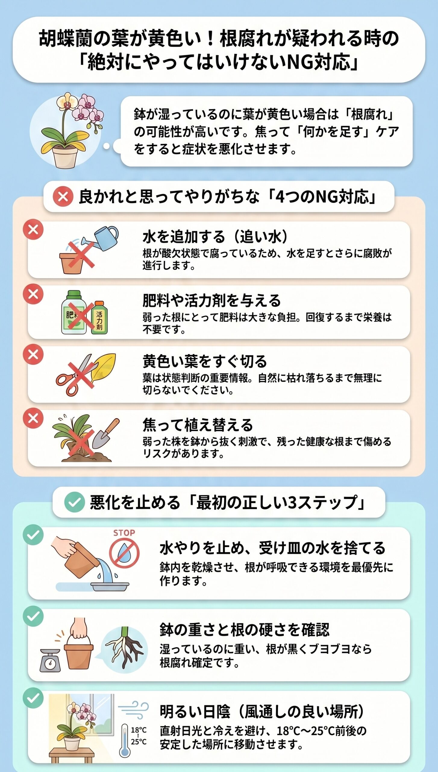 やってはいけない!根腐れが疑われる時の「NG対応」|胡蝶蘭の葉が黄色い時に根腐れを見分ける手順と初動対応を整理したインフォグラフィック