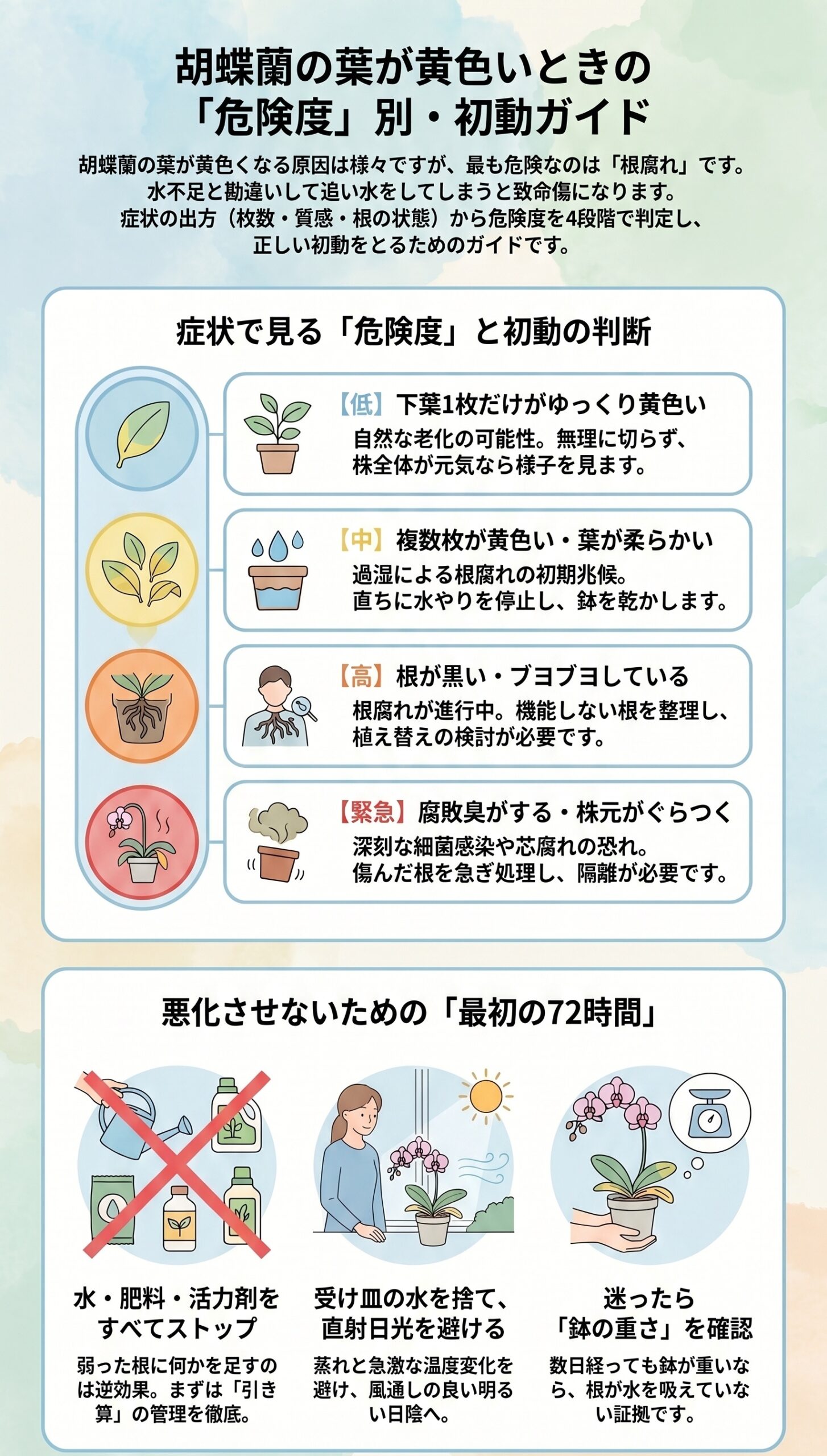 切る?待つ?黄色い葉の「回復カレンダーと対処の境界線」|胡蝶蘭の葉が黄色い時に根腐れを見分ける手順と初動対応を整理したインフォグラフィック