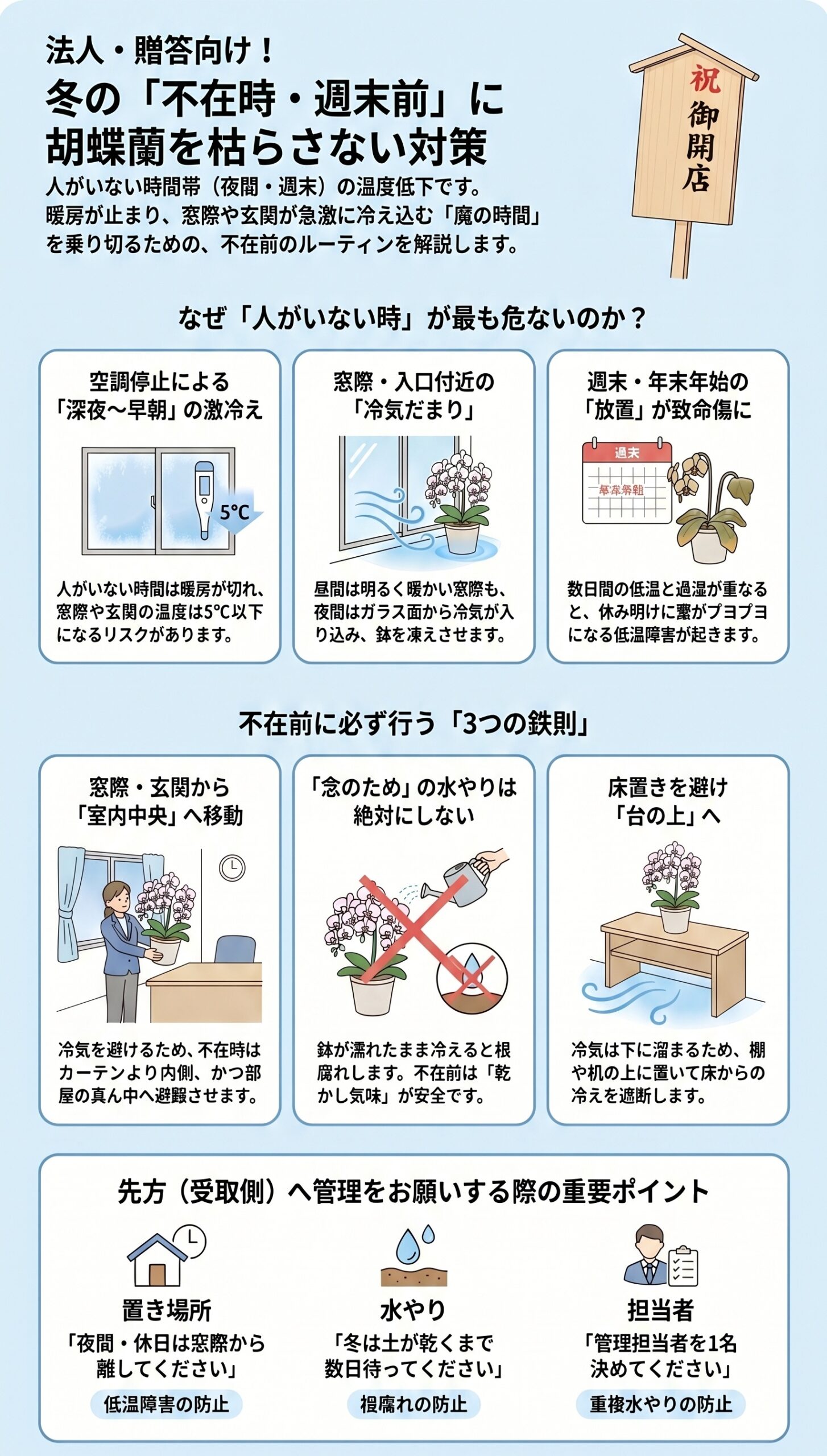 迷ったらコレ!冬に枯らさない「3つの鉄則」と最短結論|胡蝶蘭の冬越し・低温障害の症状と初動対応を整理したインフォグラフィック