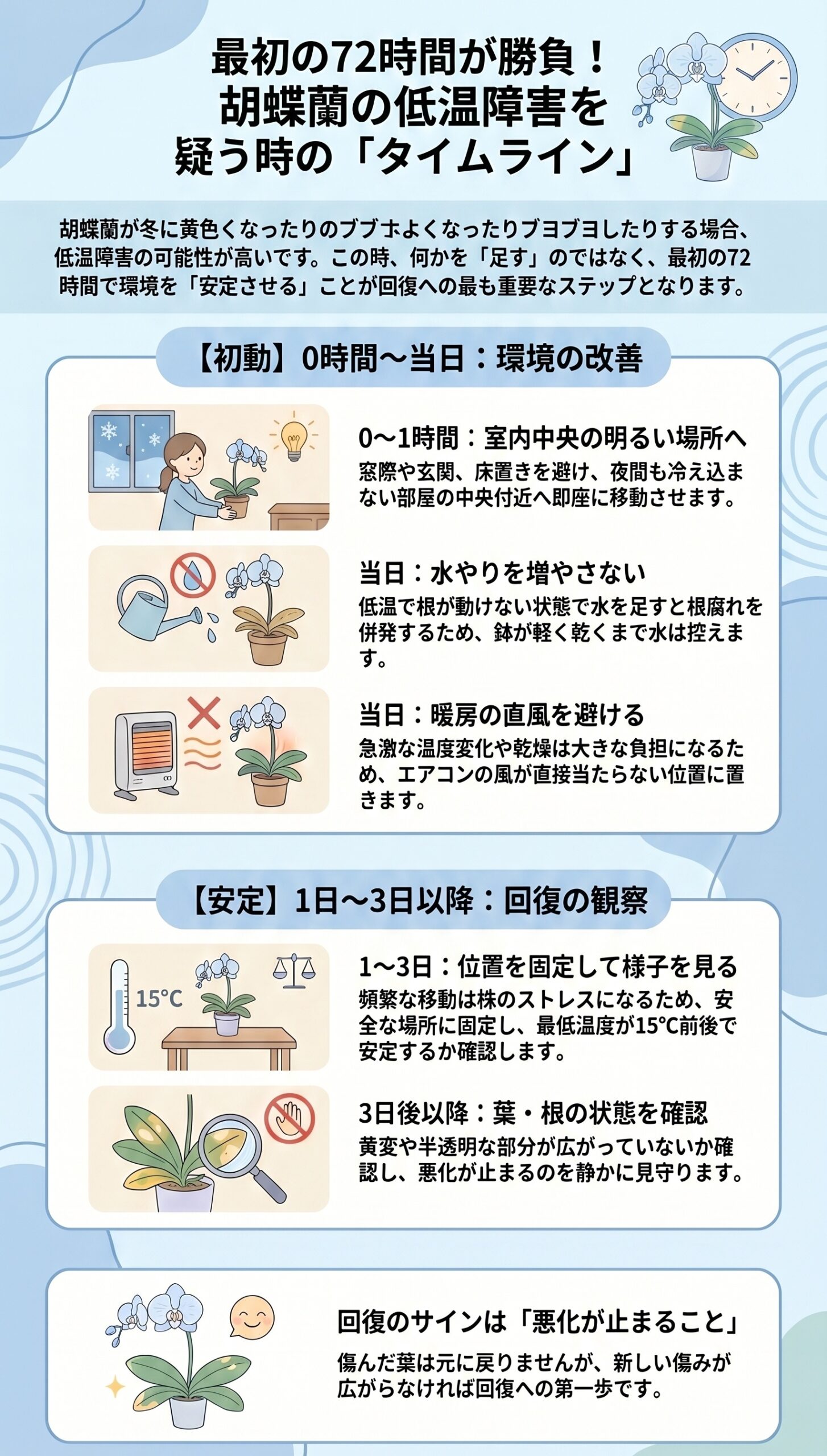 最初の72時間が勝負!低温障害を疑う時の「タイムライン」|胡蝶蘭の冬越し・低温障害の症状と初動対応を整理したインフォグラフィック