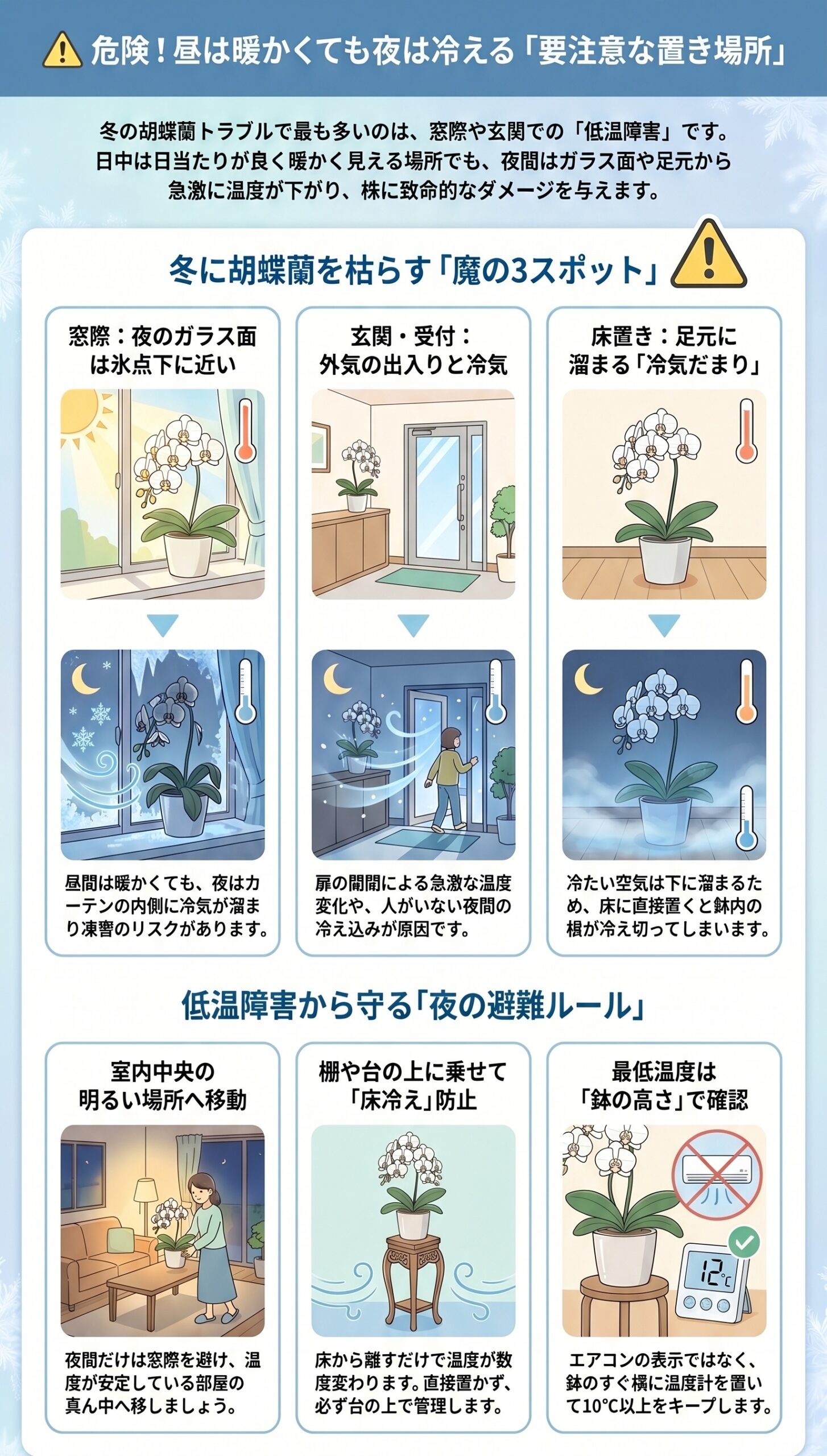 要注意!冬の胡蝶蘭に「絶対にやってはいけないNG対応」|胡蝶蘭の冬越し・低温障害の症状と初動対応を整理したインフォグラフィック