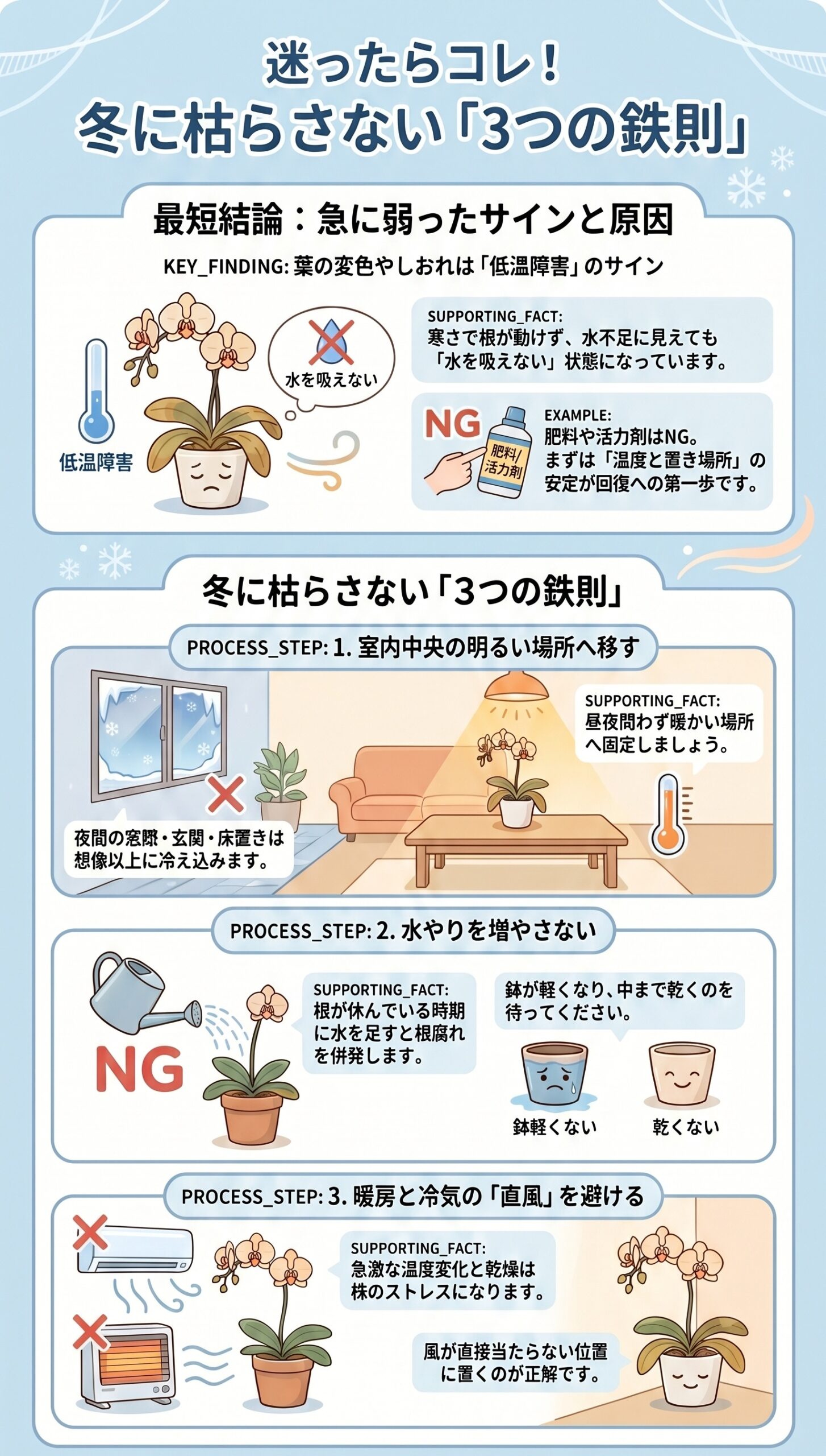 法人・贈答向け!冬の「不在時・週末前」の枯らさない対策|胡蝶蘭の冬越し・低温障害の症状と初動対応を整理したインフォグラフィック