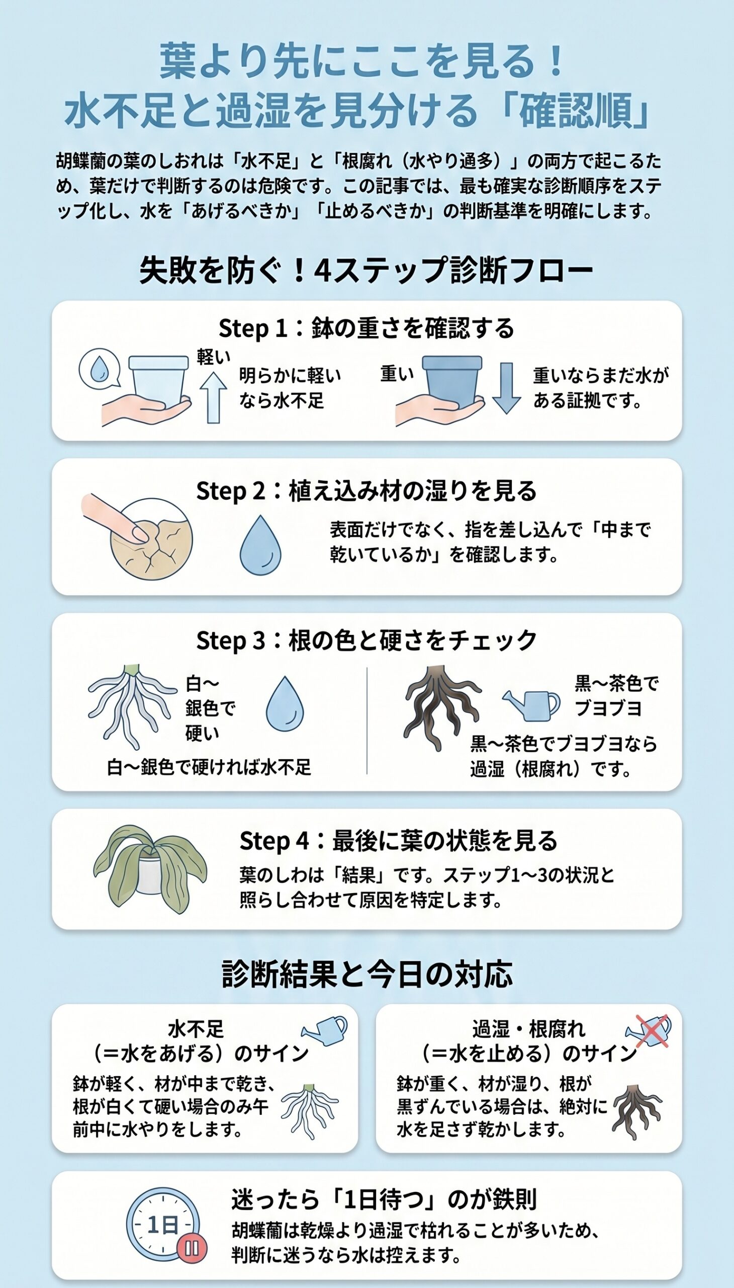葉より先にここを見る!水不足と過湿を見分ける確認順|胡蝶蘭の鉢・根・植え込み材を見る順番を整理したインフォグラフィック