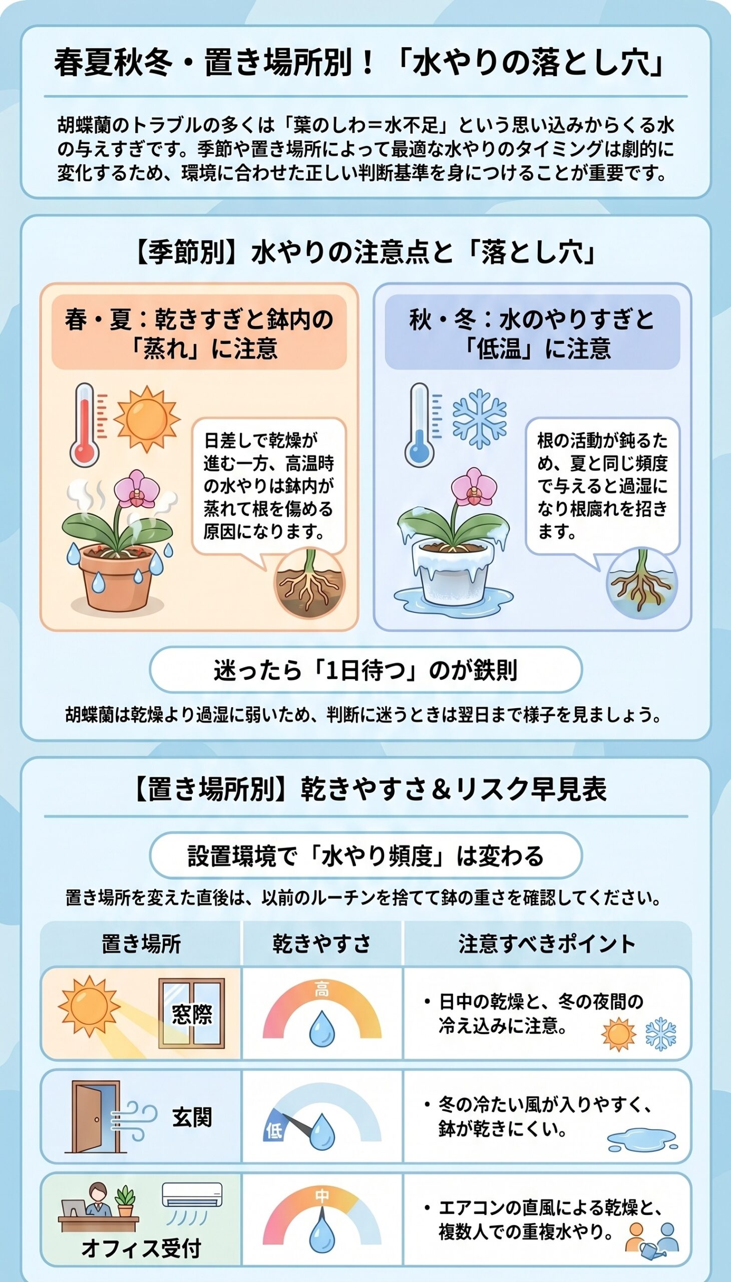 春夏秋冬・置き場所別!水やりの落とし穴|季節と設置環境ごとの水やり注意点を整理したインフォグラフィック