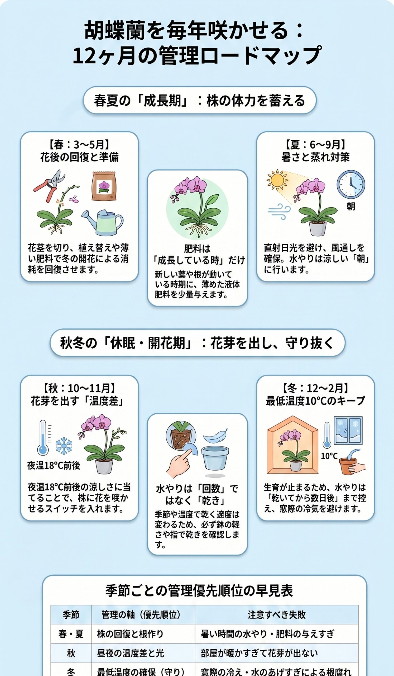 迷ったらコレ!胡蝶蘭を毎年咲かせる「年間カレンダーと季節の軸」|胡蝶蘭を毎年咲かせる年間管理のインフォグラフィック