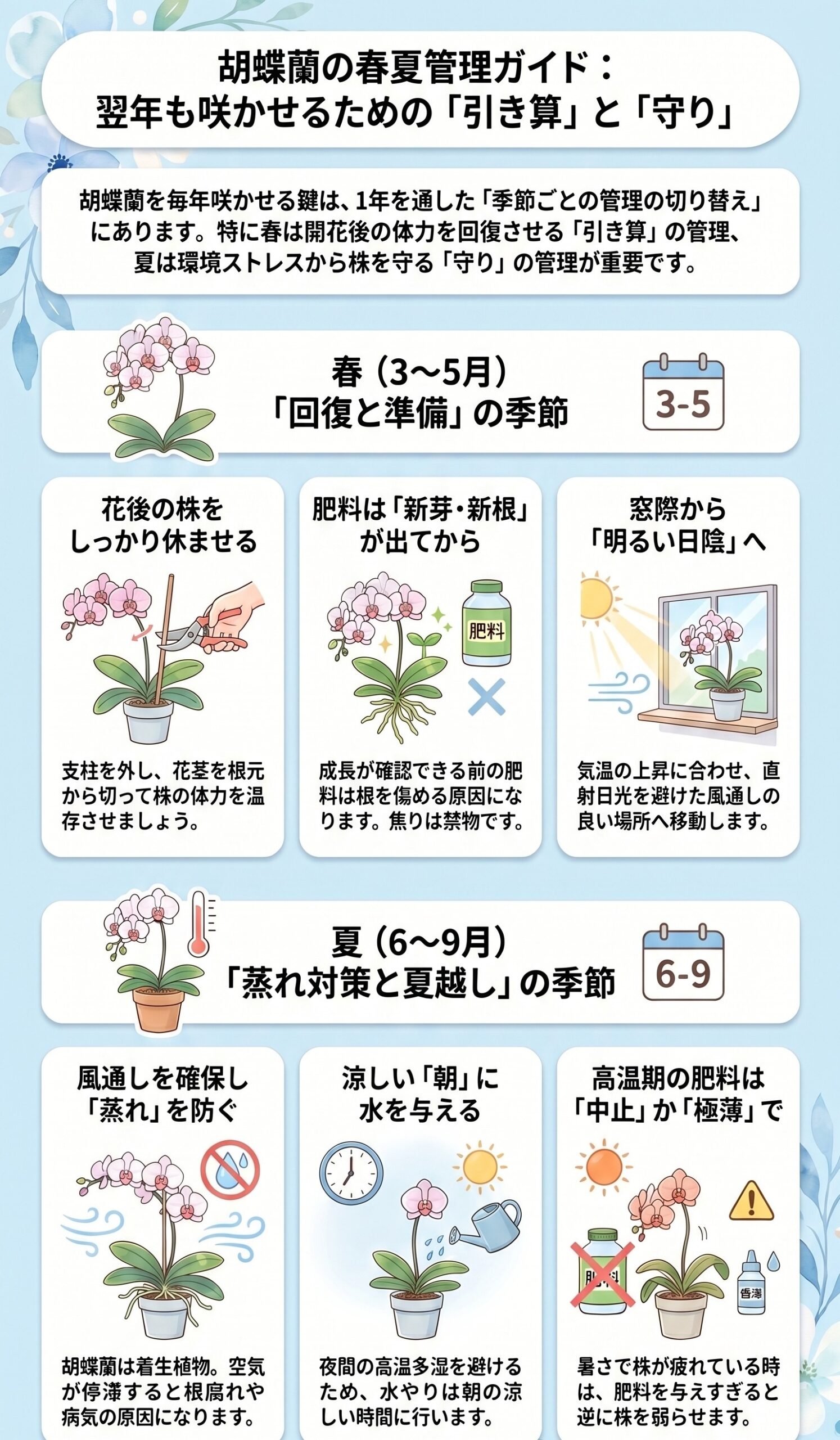 春の鉄則!「回復と準備」の時期にやること・やらないこと|胡蝶蘭を毎年咲かせる年間管理のインフォグラフィック