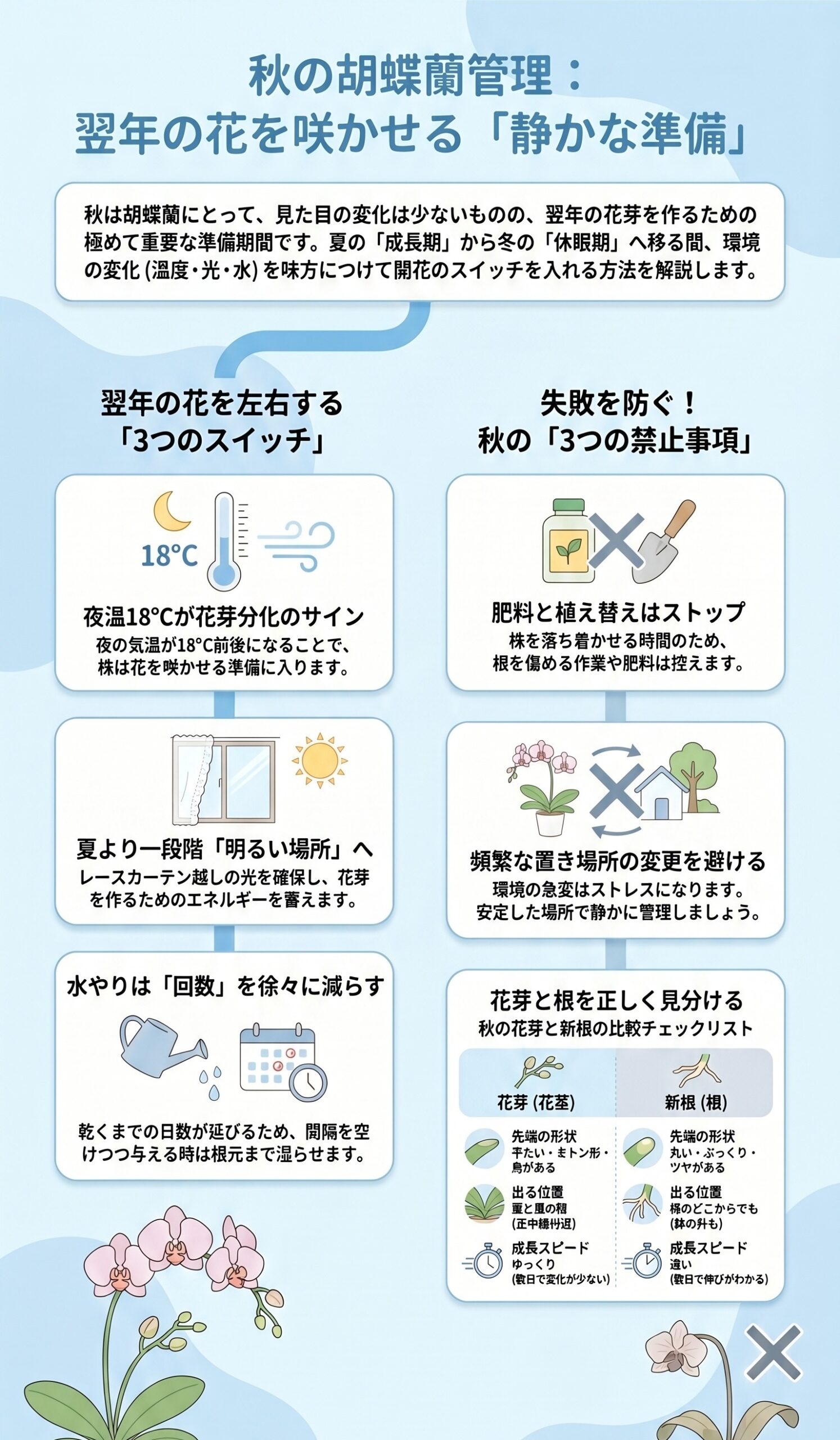 花芽を決める!秋の「静かな準備」と夜温の重要性|胡蝶蘭を毎年咲かせる年間管理のインフォグラフィック