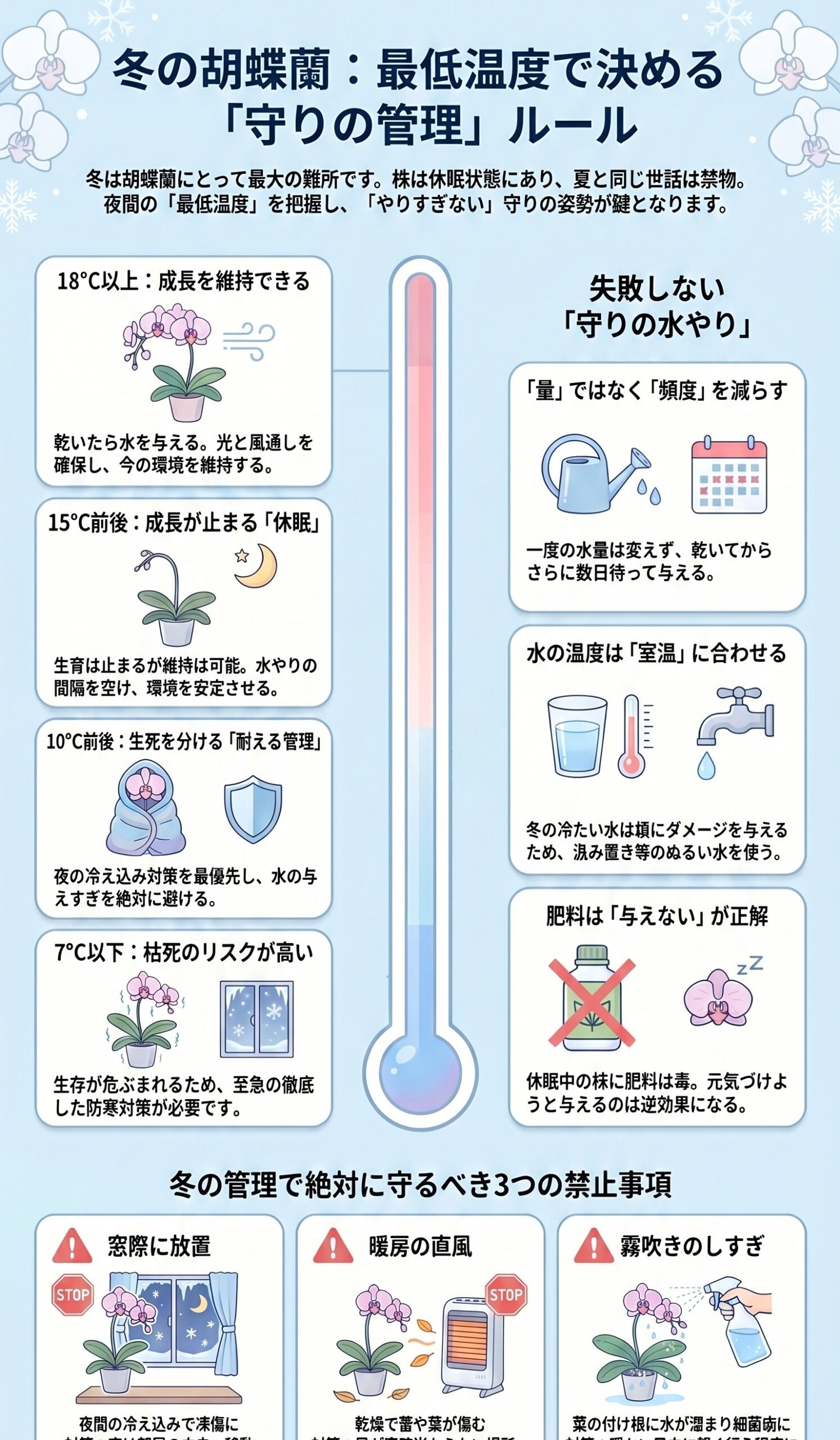 最大の難所!冬の「最低温度別」管理ルール|胡蝶蘭を毎年咲かせる年間管理のインフォグラフィック