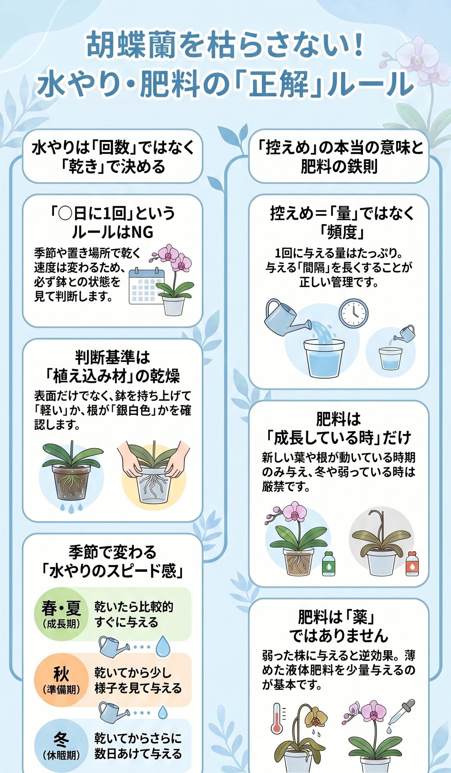 水やり・肥料の基本!「控えめ」の本当の意味|胡蝶蘭を毎年咲かせる年間管理のインフォグラフィック