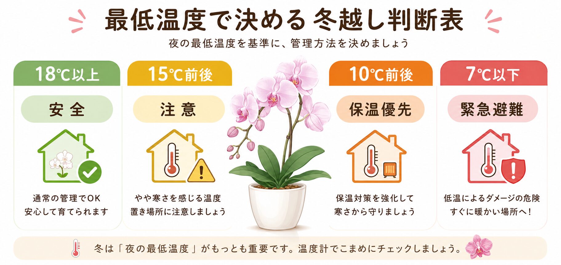 胡蝶蘭の冬越し温度別管理基準一覧図