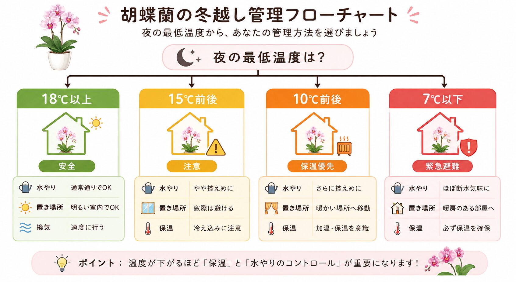 胡蝶蘭の最低温度から管理方法を選ぶ図解