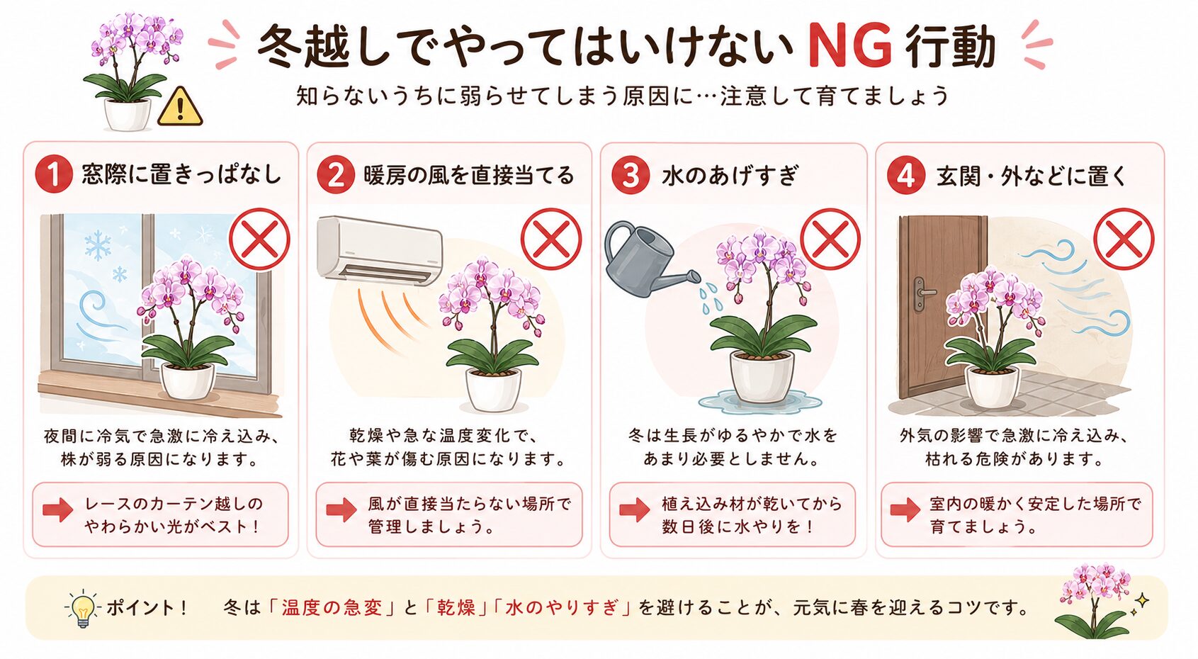 胡蝶蘭の冬に避けるべき管理方法一覧